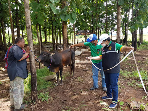 Songserm25Aug15