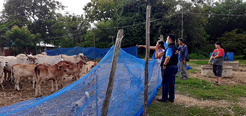 Meaung15July01