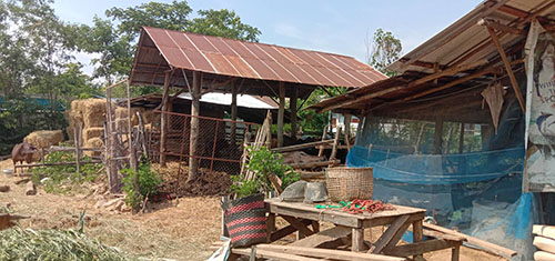 Meaung17May05