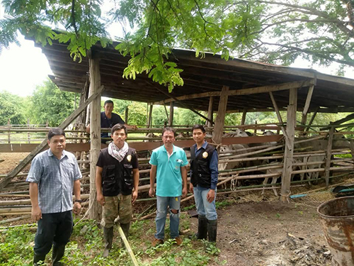 Denchai24June01