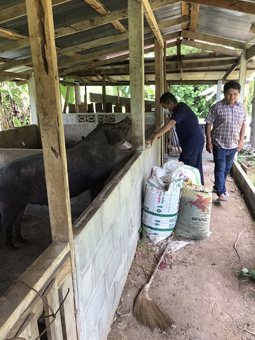 Wangchin12May01