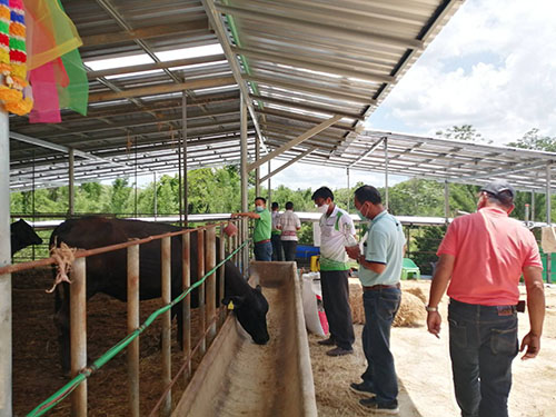 Wangchin13May03