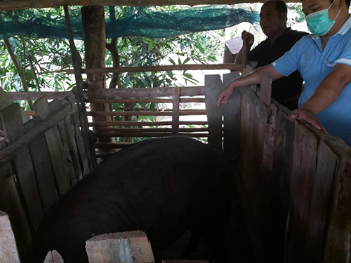 Wangchin15July02