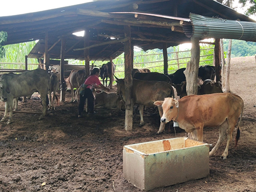 Wangchin27July01