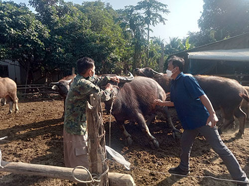 Dec03Denchai10