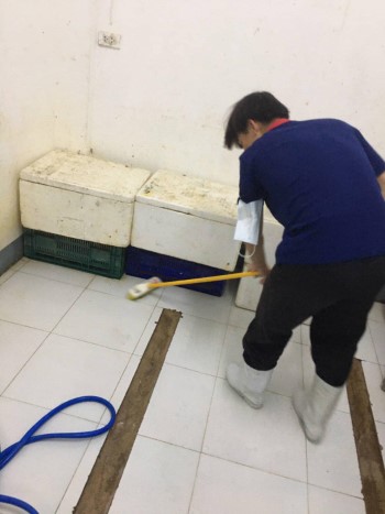 Feb11Denchai06
