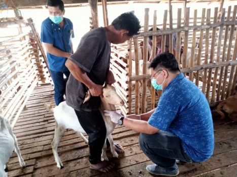 Feb18Denchai04