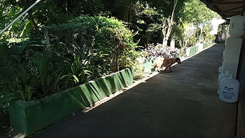 NOV03Denchai04