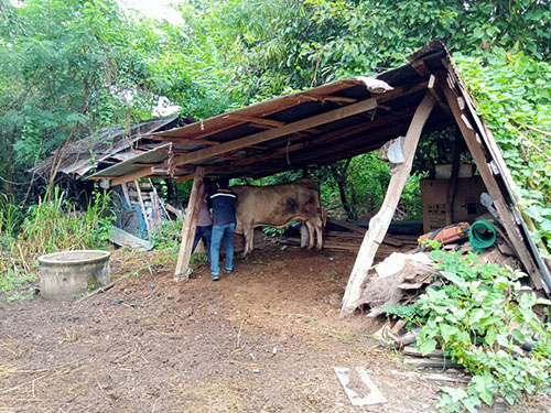 Oct11Denchai02