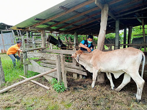 Oct14Denchai07