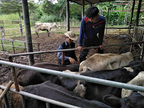 Oct15Denchai07