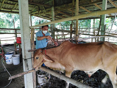 Oct15Denchai10