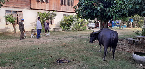 Dec09Meaung03