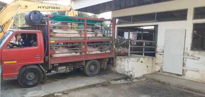 070267 3a